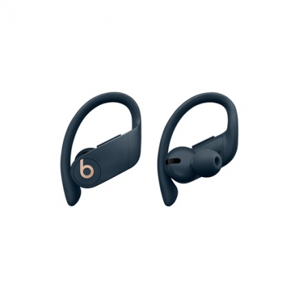 هدفون بی سیم بیتس مدل ٰٰBeats Powerbeats Pro Totally Wireless Earphones سرمه ای